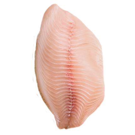 FILETE DE TILAPIA (LIBRA)